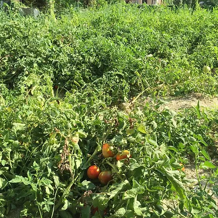 Asia Apart Hotel Kusadasi